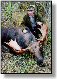 Trophy Bull